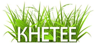 Khetee Logo__jpg