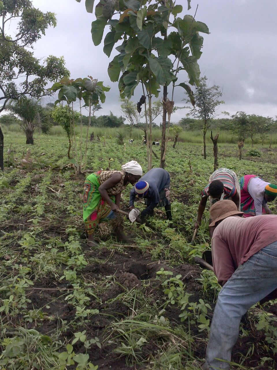 IMG-20160810-WA0007[1]