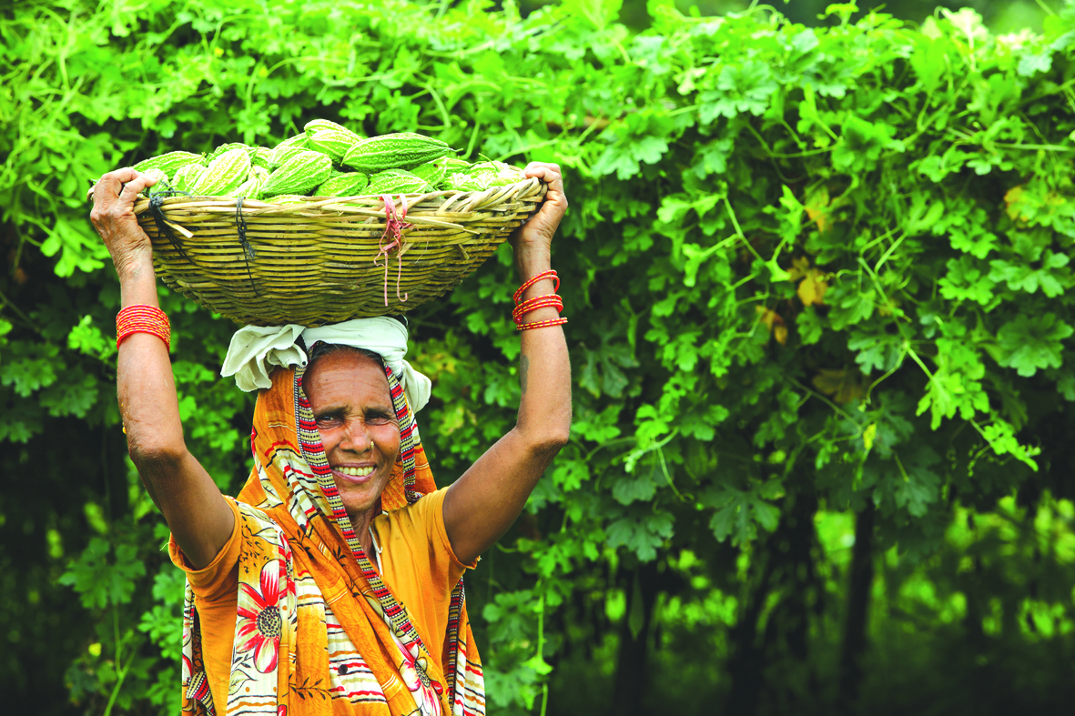 Enhance productivity of the farm