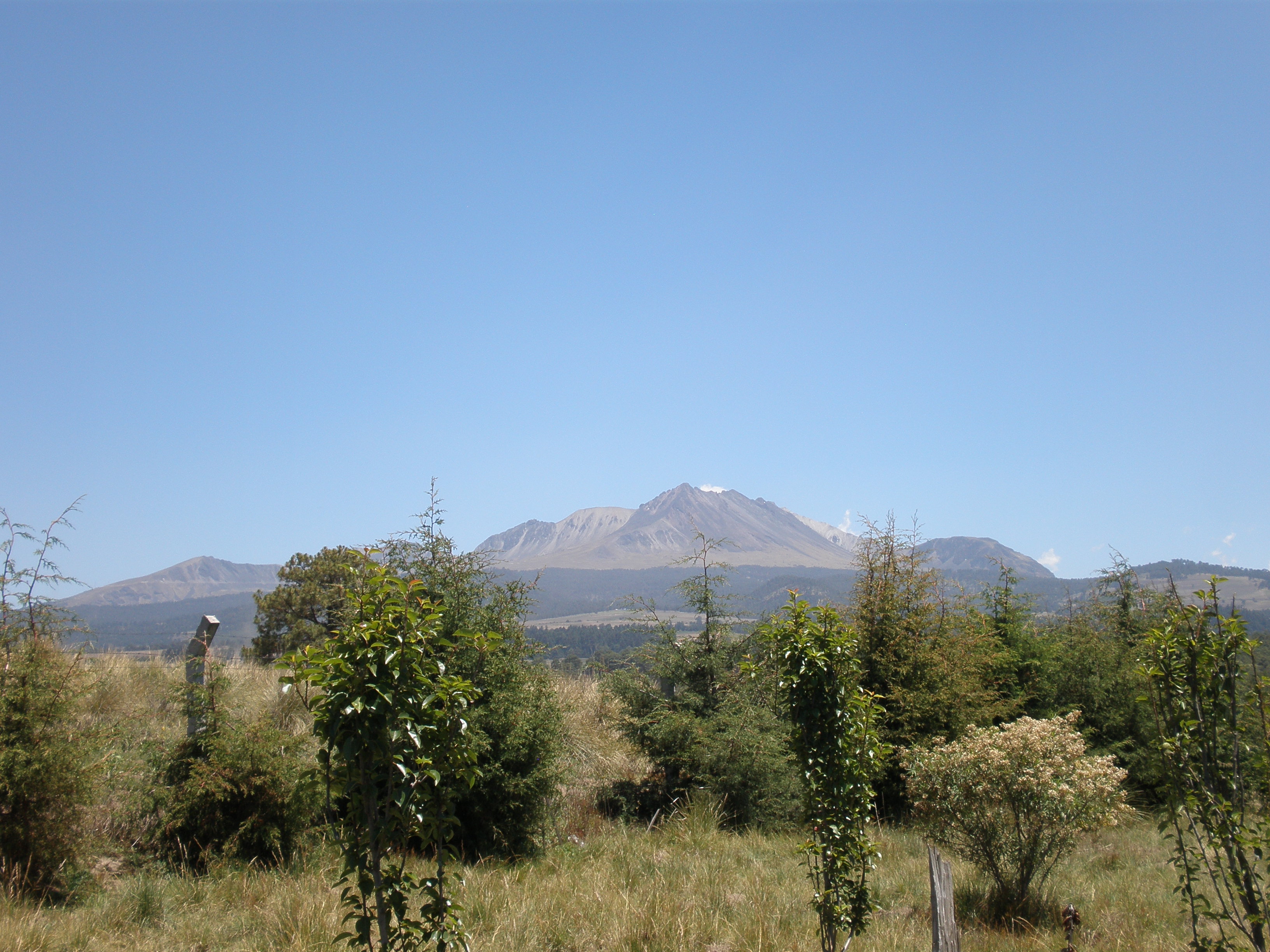 Fruit trees and Xinantecatl