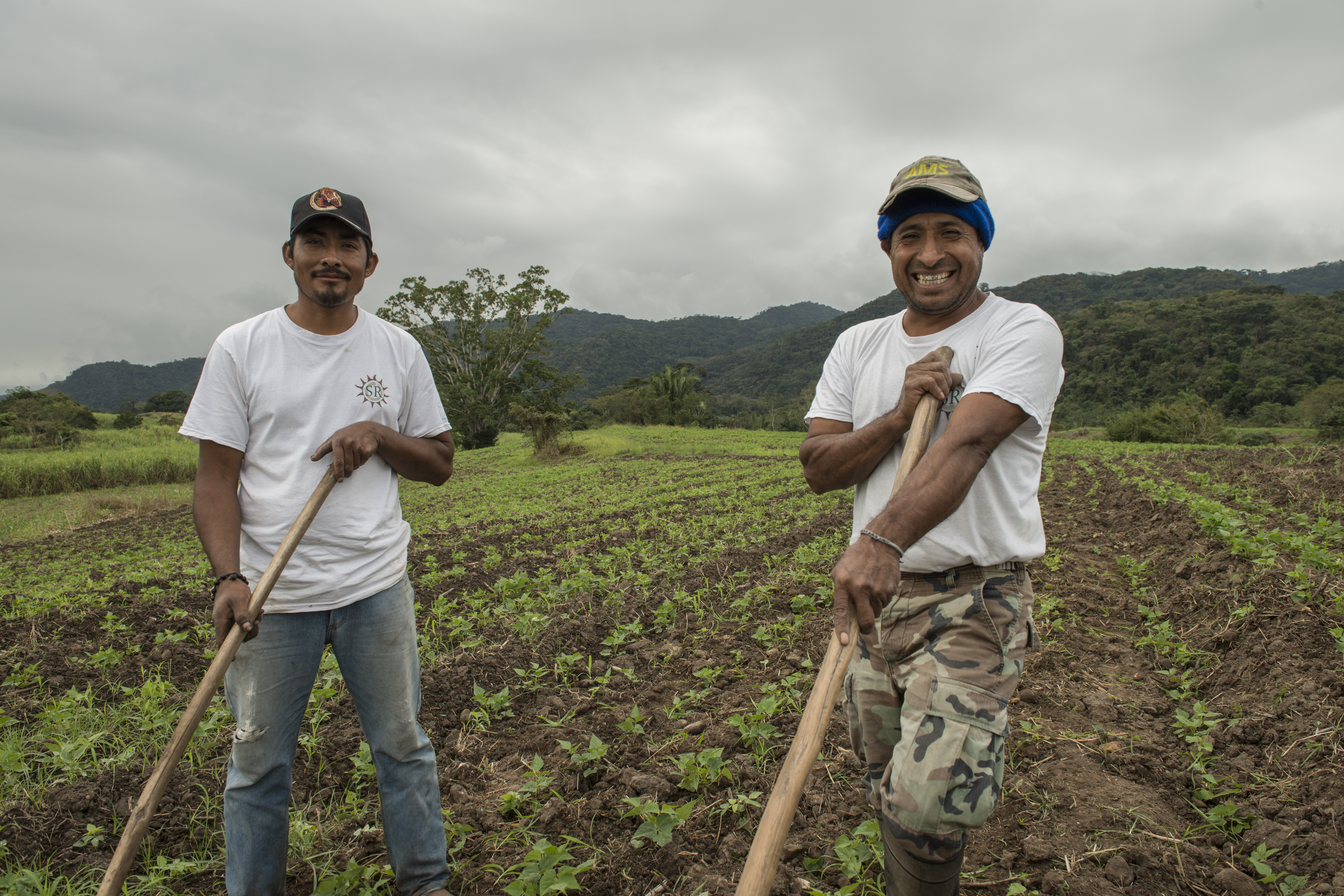 pag 6 empresa agroforestal