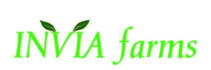 received_1915529688690778[1]_3