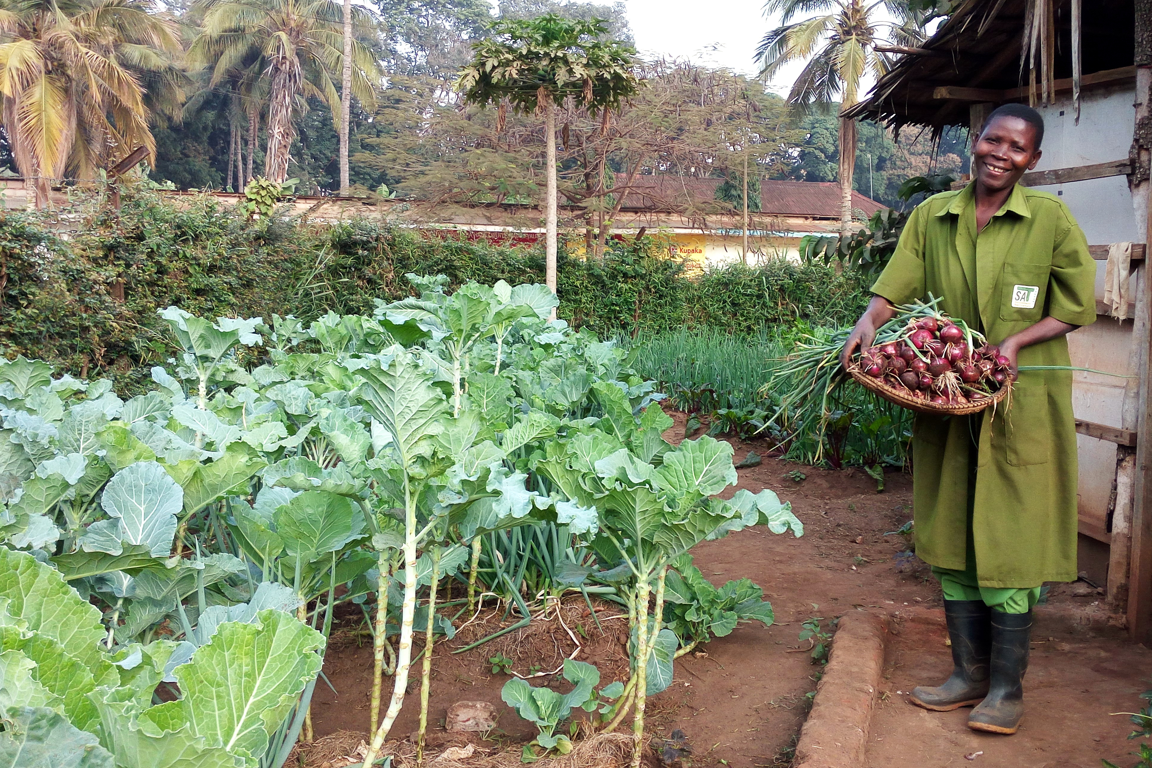 SAT_Small part of demonstartion garden in Morogoro Headquarter