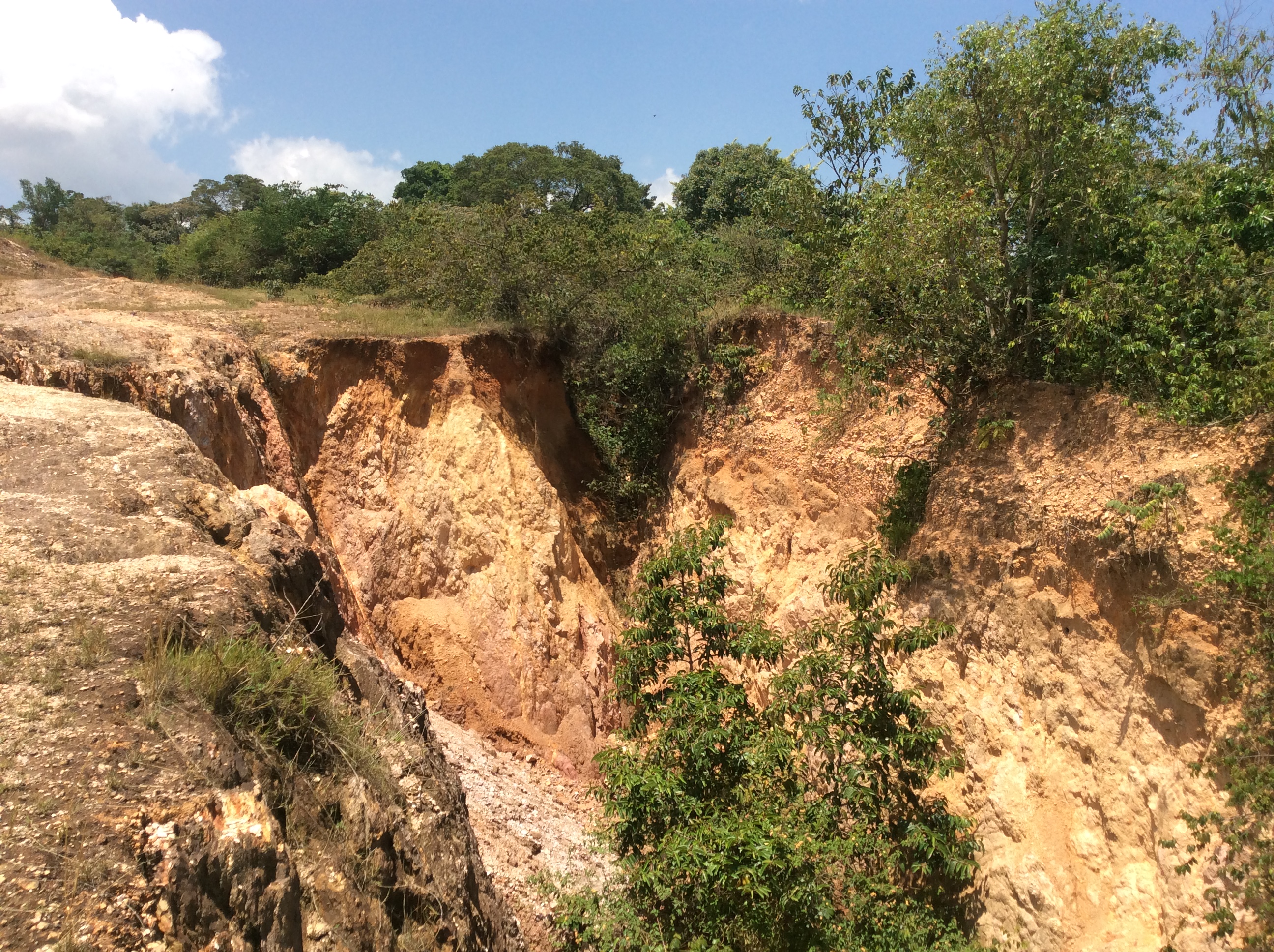 Gully at Kaimosi Forest (2)
