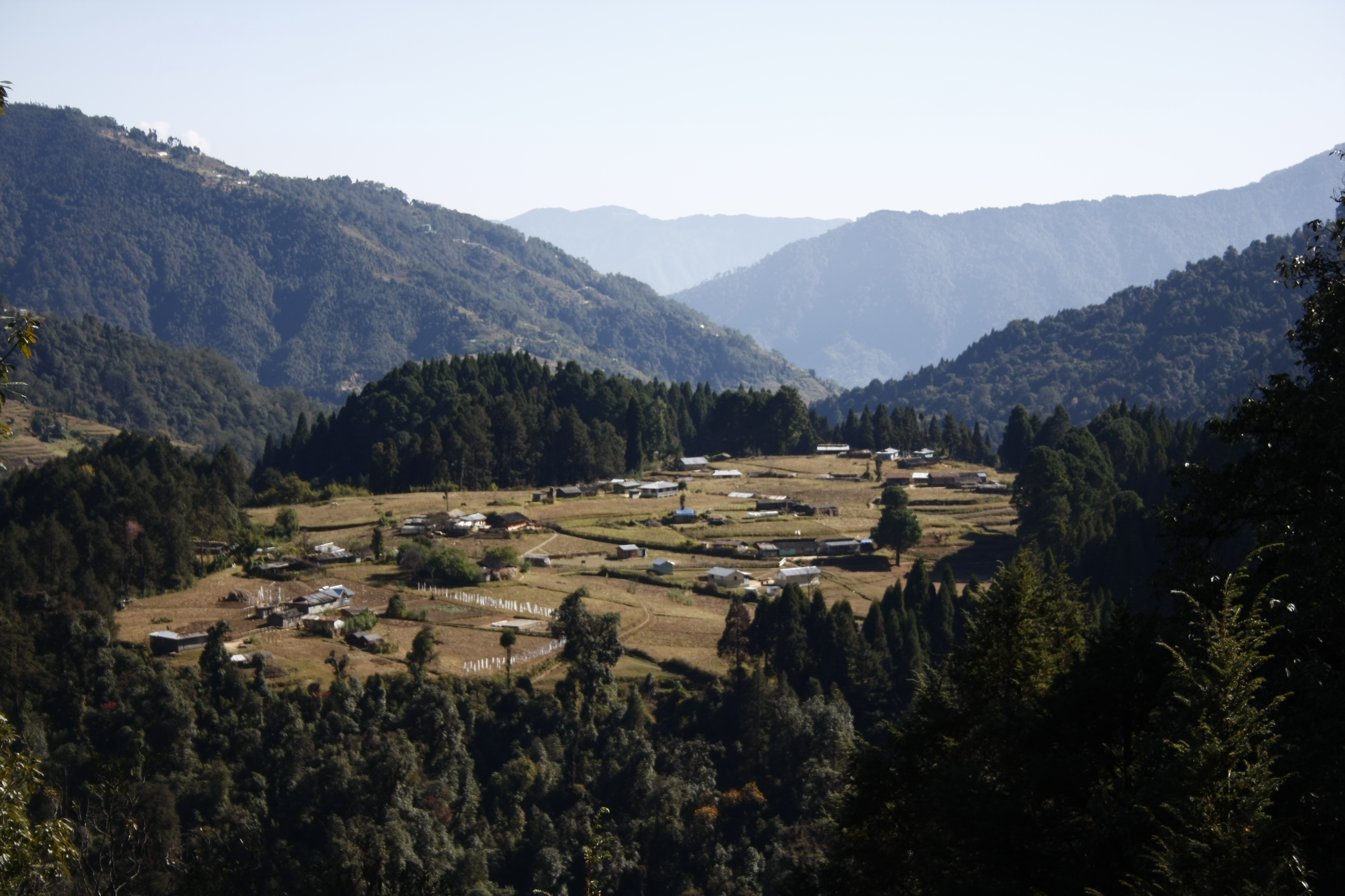 1 Samanden forest village