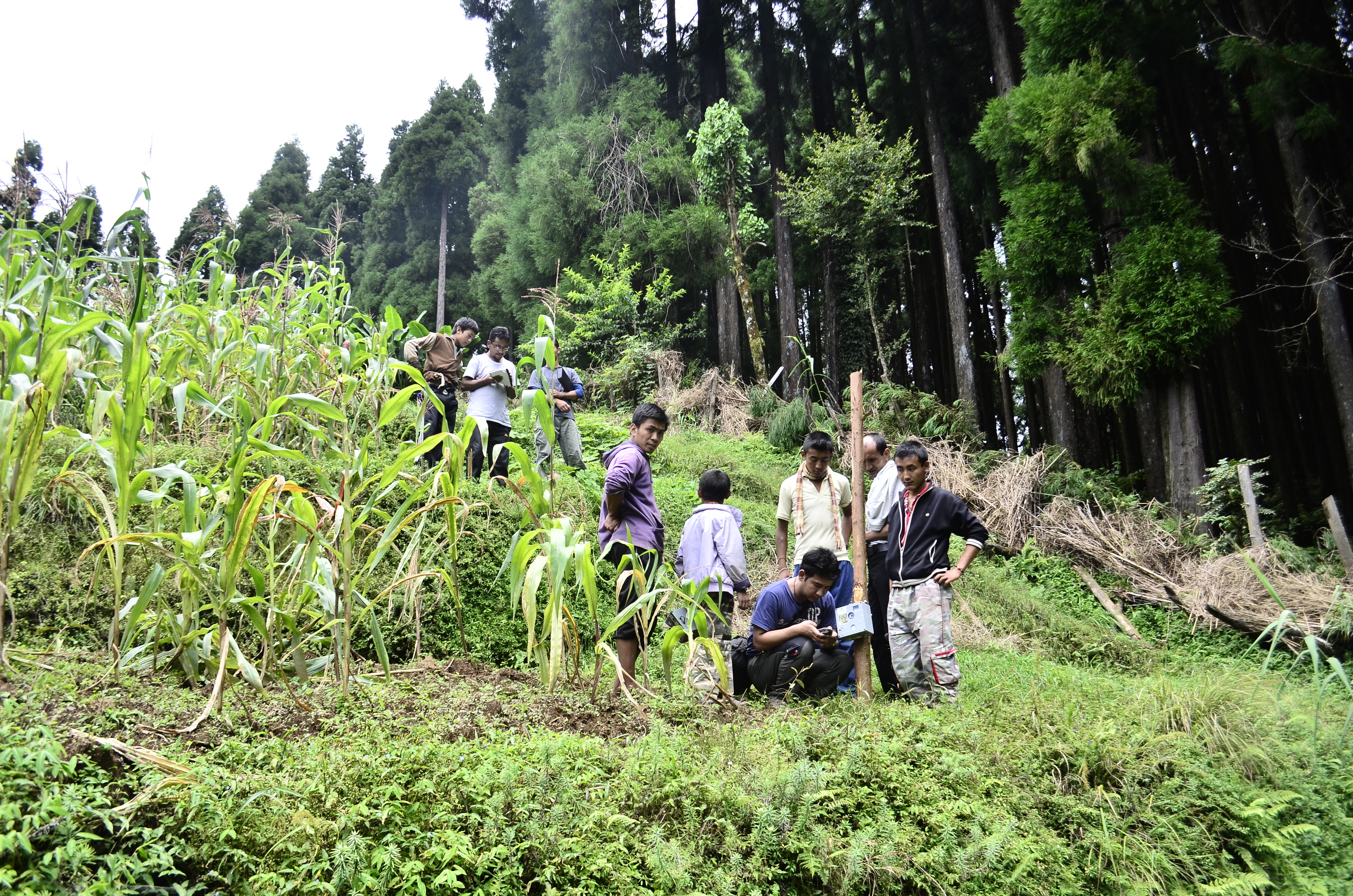 4 mapping HWC Samanden forest village