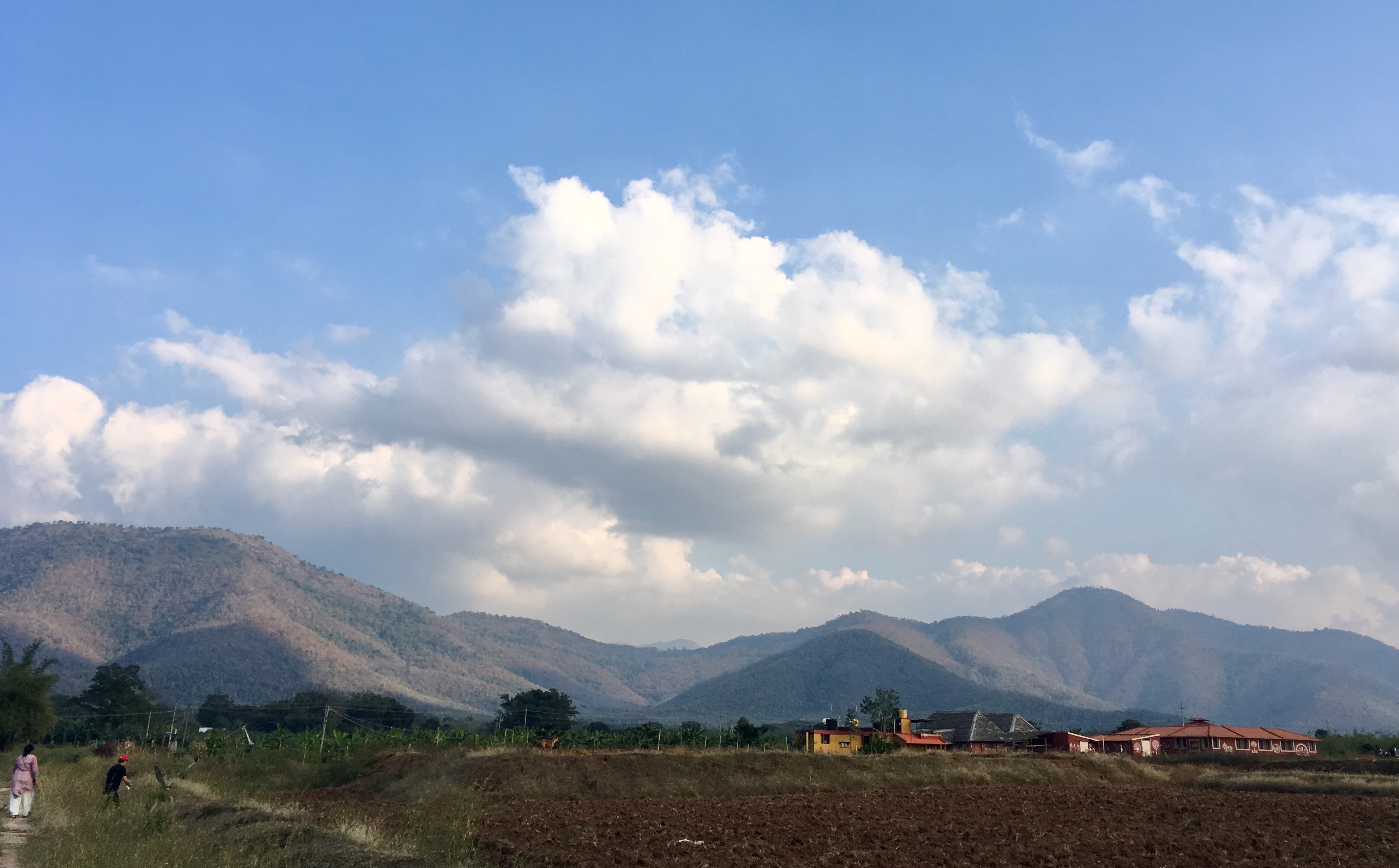 please use this photo