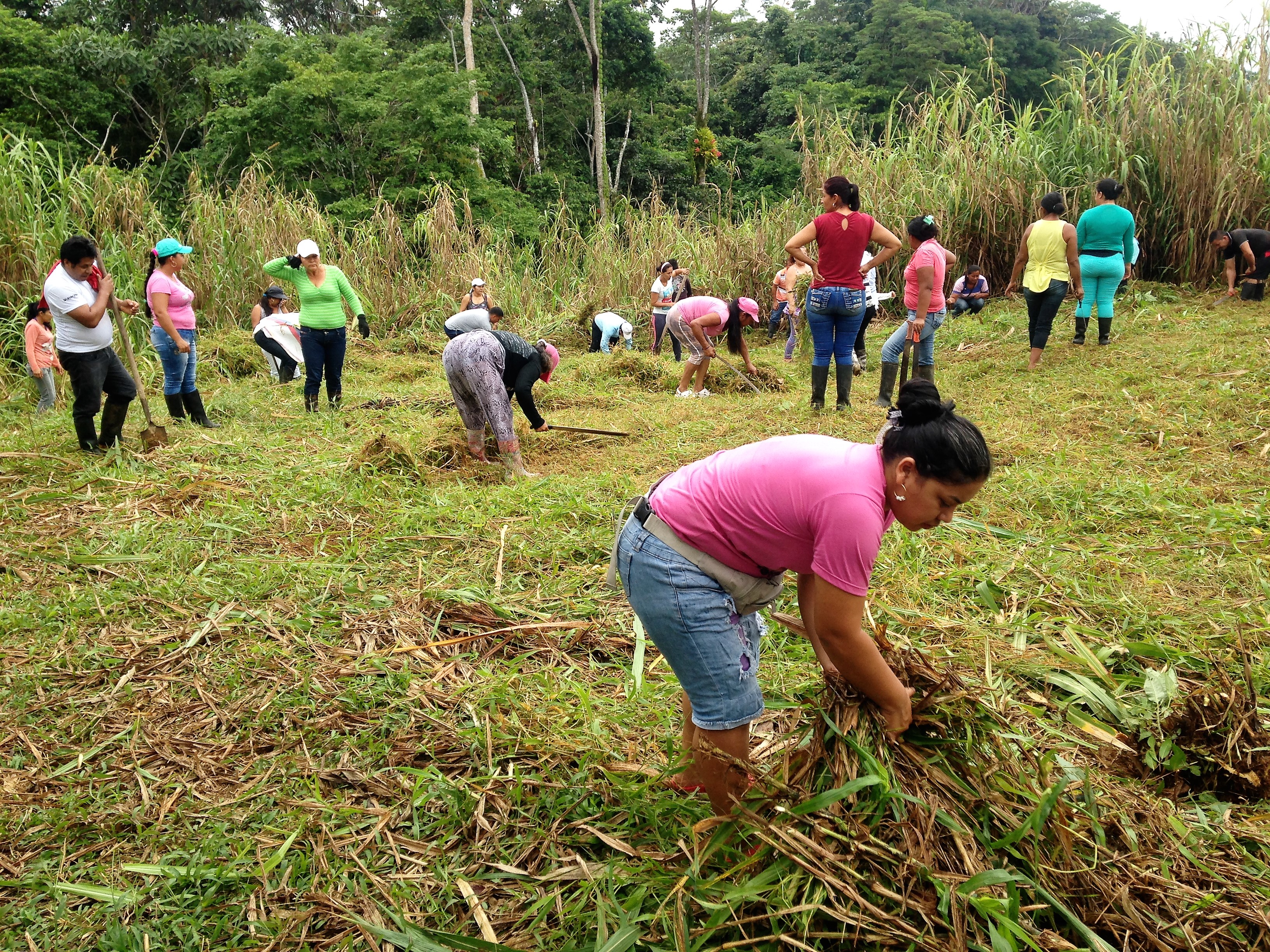 Registro Fotografico Huerta Demostartiva - La Primavera