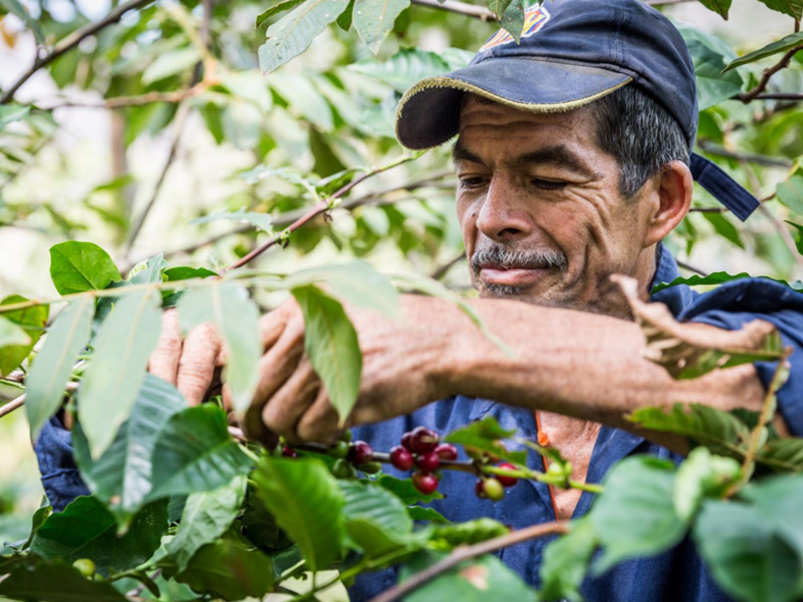 Farming for Biodiversity | Solution Search