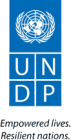UNDP logo