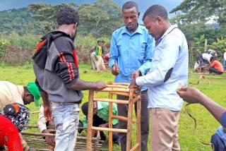 Apis Agribusiness