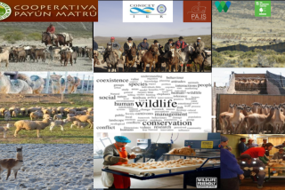 PATA-NOA, hilando coexistencia, inclusion social y Sustentabilidad ambiental
