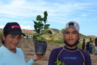 Tree planting at Chacaracual, Macanao, Venezuela