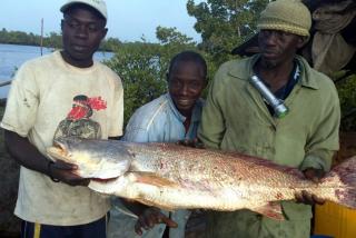 Fisherman Assoc of Rural