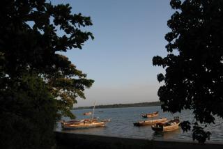 Islamic Foundation for Ecology