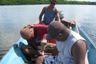 Nimpal Channel Marine