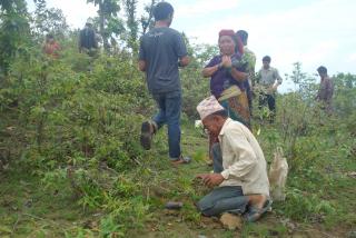 NDRC Plantation